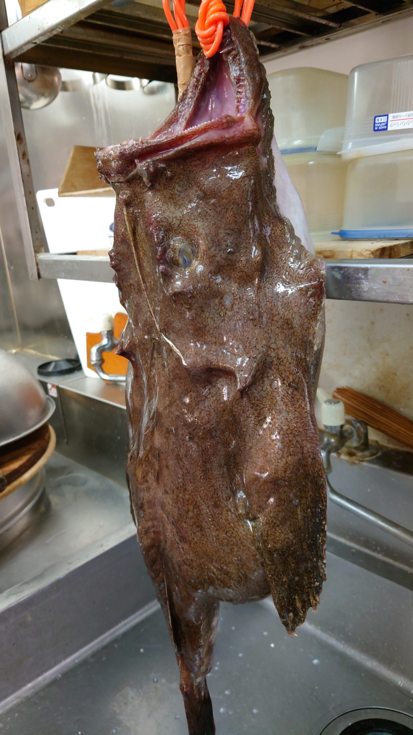 🐟🍝Anglerfish tomato sauce ragoo pastaあんこうのトマトソースラグーパスタ – maxmax cooking ...